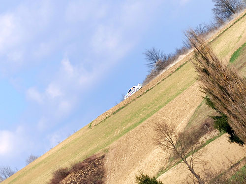 DSC_9064